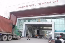 Quảng Ninh tạm dừng tiếp nhận hàng hóa tại cửa khẩu Móng Cái đến Tết Nguyên đán