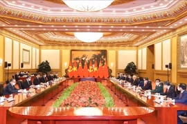 Tổng Bí thư Nguyễn Phú Trọng hội đàm với Tổng Bí thư, Chủ tịch Trung Quốc Tập Cận Bình