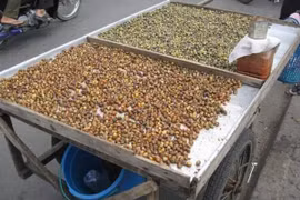Hến phơi nắng- loại đặc sản được nhiều người ưa chuộng