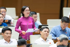 Cần giám sát chặt chẽ dòng tiền tham gia đấu giá quyền sử dụng đất để phòng ngừa rửa tiền
