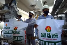 Đạm Cà Mau (DCM) ước doanh thu 6 tháng tăng 91%
