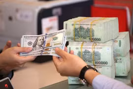 Mỹ đưa Việt Nam ra khỏi danh sách giám sát thao túng tiền tệ