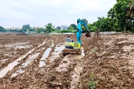 Phó Chủ tịch tỉnh Hải Dương chỉ đạo làm rõ tố cáo sai phạm tại xã Hồng Phong
