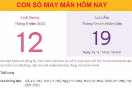 Con số may mắn hôm nay 12/11/2022 thứ 7, ngày 19/10 âm lịch