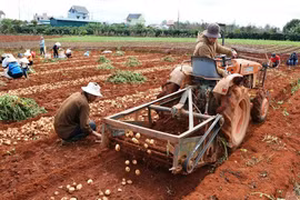 Công nghiệp hỗ trợ ngành nông nghiệp: Không nên chờ đợi vào máy móc nhập khẩu