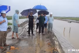 Thừa Thiên Huế: Dừng các buổi hội họp không cấp bách để ứng phó với siêu bão số 4