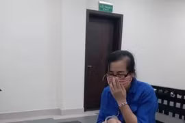 Chiếm đoạt hơn 11 tỷ đồng, nữ giám đốc lĩnh án 17 năm tù