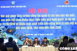Tăng cường công tác quản lý các khu bảo tồn biển, ven biển Việt Nam