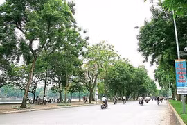 Đề xuất 30/12 khai trương không gian đi bộ khu phố Trần Nhân Tông (Hà Nội)