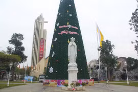 Ngắm cây thông Noel “khủng” ở xứ Nghệ