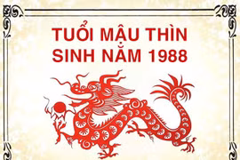 Gợi ý hướng nhà tuổi Mậu Thìn 1988 hợp phong thủy