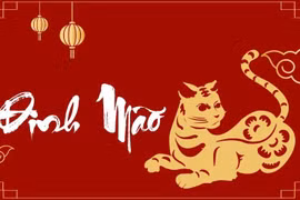 Hướng nhà dành cho gia chủ tuổi Đinh Mão 1987