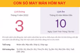 Con số may mắn hôm nay 3/11/2022 thứ 5, ngày 10/10 âm lịch