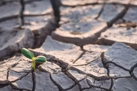 COP27 và lý do tại sao nó cần cho cuộc chiến chống biến đổi khí hậu