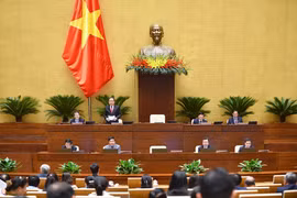 Kỳ vọng các Bộ trưởng trả lời đúng trọng tâm, đưa ra được giải pháp thiết thực, hiệu quả