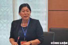 Ngân hàng đất nông nghiệp chỉ là đầu mối chứ không đi "thuê lại" đất của người dân