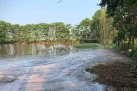 Hà Tĩnh: Xử phạt hơn 53 triệu đồng đối với 2 trại lợn vi phạm quy định về môi trường