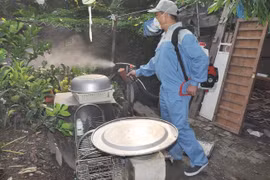 Hà Nội: Yêu cầu xử lý triệt để các ổ dịch truyền nhiễm mùa hè