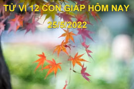 Tử vi 25/5/2022 hôm nay thứ 4 ngày 25/4 âm lịch của 12 con giáp