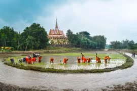 Triển khai hiệu quả Chương trình phát triển kinh tế - xã hội vùng đồng bào dân tộc thiểu số tại ĐBSCL