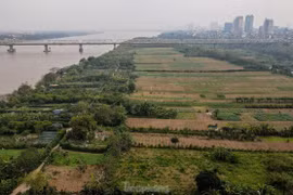 Bãi giữa, bãi bồi sông Hồng thành công viên: Người ủng hộ, người tâm tư lo lắng