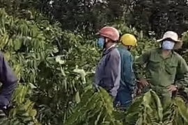 Đang điều tra vụ chống người thi hành công vụ và bắt giữ người trái luật tại Krông Pắk