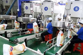 Trung An (TAR) lợi nhuận quý III lao dốc 18 lần, chốt chia cổ tức bằng cổ phiếu tỷ lệ 10%