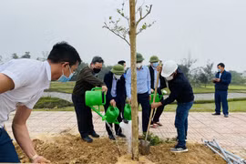 Mát mắt “sắc xanh” ở nhà máy thép lớn nhất Hà Tĩnh