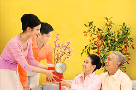 Những lời chúc Tết 2023 cho bố mẹ hay, ý nghĩa, tình cảm
