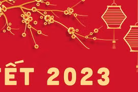 Lời chúc Tết Dương Lịch 2023 ngọt ngào cho vợ, người yêu, bạn gái