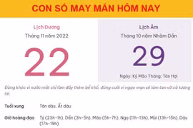Con số may mắn hôm nay 22/11/2022 thứ 3, ngày 29/10 âm lịch