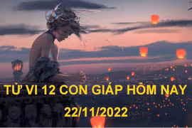 Tử vi hôm nay 22/11/2022, thứ 3 ngày 29/10 âm lịch của 12 con giáp
