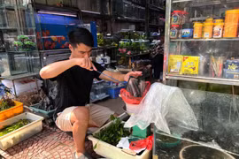 Hà Nội: Nhộn nhịp phố bán chim, cá phóng sinh dịp rằm tháng 7