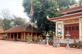 Kỳ II: Từ Làng Sảo, Hợp Thành đến Khau Tý - Phủ Chủ tịch nơi Thủ đô gió ngàn