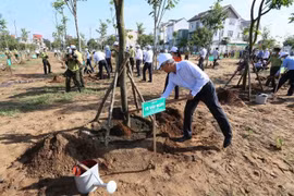 TP. HCM mỗi người dân cố gắng trồng và chăm sóc 1 cây xanh để thành phố xanh - sạch - đẹp