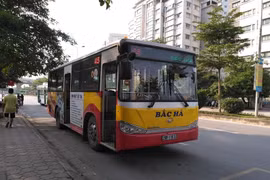 Hà Nội: Đơn vị nào khai thác 5 tuyến buýt mà công ty Bắc Hà để lại?