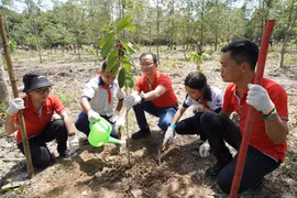 KeppelLand trồng 3.000 cây tại Khu Bảo tồn Thiên nhiên – Văn hóa Đồng Nai hưởng ứng Ngày Bảo tồn Thiên nhiên Thế giới