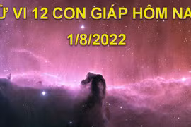 Tử vi hôm nay 1/8/2022, thứ 2 ngày 4/7 âm lịch của 12 con giáp