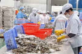 Xuất siêu hàng nông, lâm, thủy sản trong 7 tháng 2022 tăng gần 2 lần
