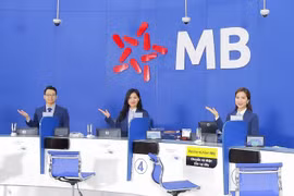 Nợ xấu tăng vọt 52%, MB (MBBank) đánh đổi rủi ro lấy lợi nhuận?