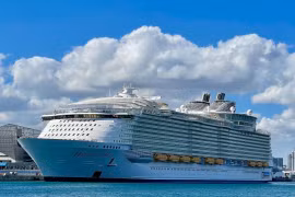 Cá mập cắn tử vong một phụ nữ đang đi lặn ở Bahamas