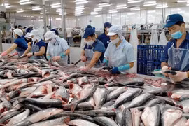 Xuất khẩu thủy sản đạt kỷ lục khoảng 11 tỷ USD