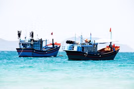 Đảm bảo xuất khẩu thủy sản không vi phạm quy định chống khai thác IUU