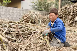Thăm làng làm mật mía ở miền núi xứ Thanh