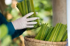Giảm giá đến 50% sản phẩm thân thiện môi trường