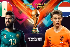 Dự đoán, nhận định trận Senegal vs Hà Lan 23h ngày 21/11 bảng A World Cup 2022