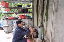 TP Thái Nguyên: Người dân 'kêu trời' vì bị mất nước sinh hoạt