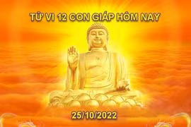 Tử vi hôm nay 25/10/2022, thứ 3 ngày 1/10 âm lịch của 12 con giáp