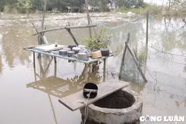 Thanh Hóa: Thực hiện các biện pháp gia cố phù hợp để hạn chế sự phát triển của sạt lở, xâm thực