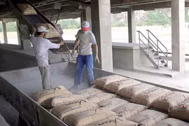 Xuất khẩu xi măng tiếp tục gặp khó
